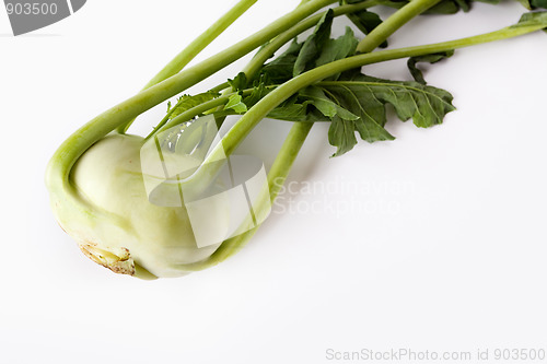 Image of Kohlrabi