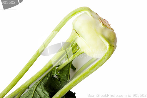 Image of Kohlrabi