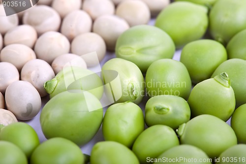 Image of Peas isolated on White