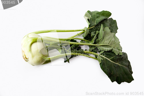 Image of Kohlrabi