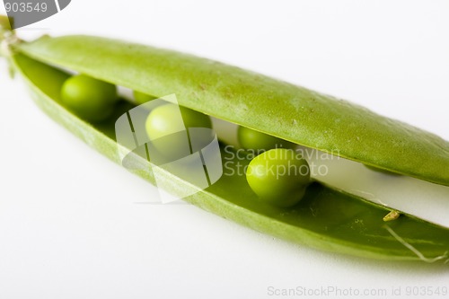 Image of Peas isolated on White