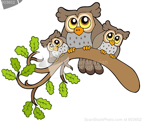 Image of Three cute owls on branch