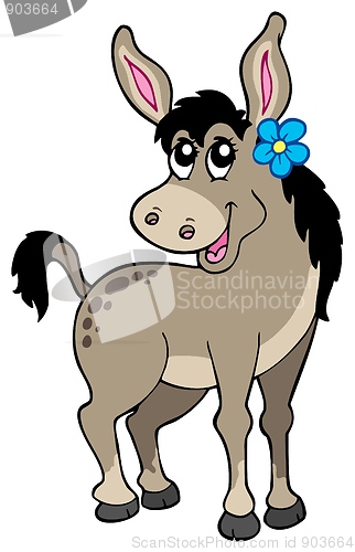 Image of Cute donkey with flower