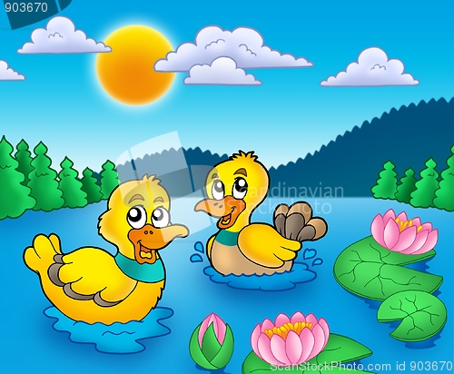 Image of Two ducks and water lillies