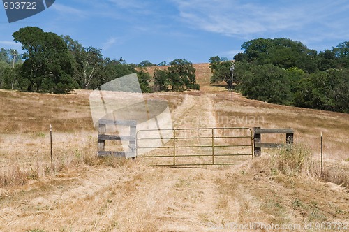 Image of Road & gate