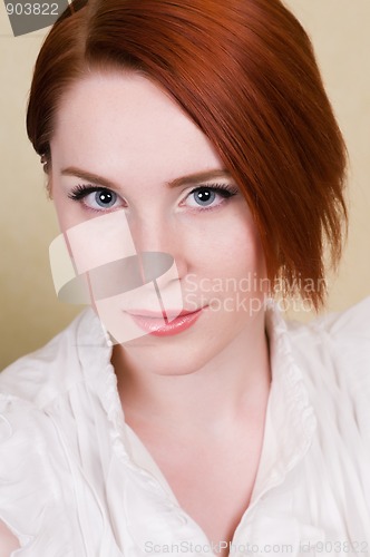 Image of Redhead