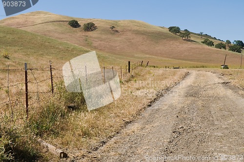 Image of Brown hills