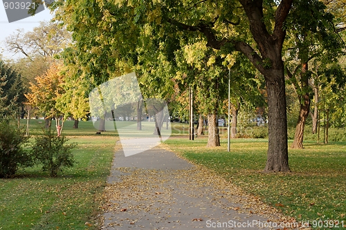 Image of Autumn