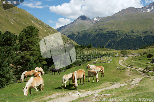 Image of Alps