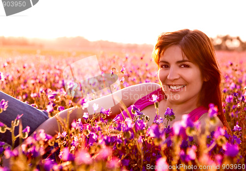 Image of Relaxing on the meadow