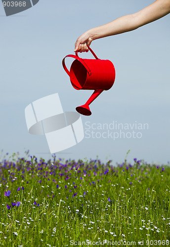Image of Watering the flowers