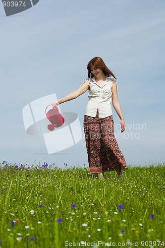 Image of Watering the flowers