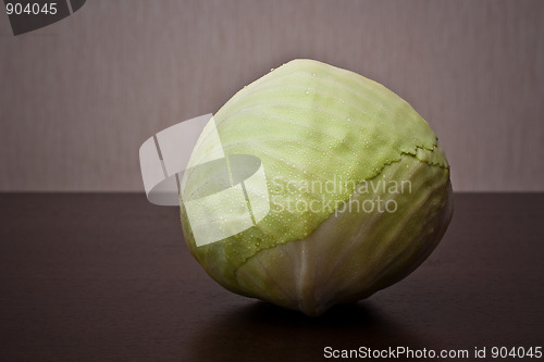 Image of Head of cabbage