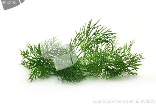 Image of Dill