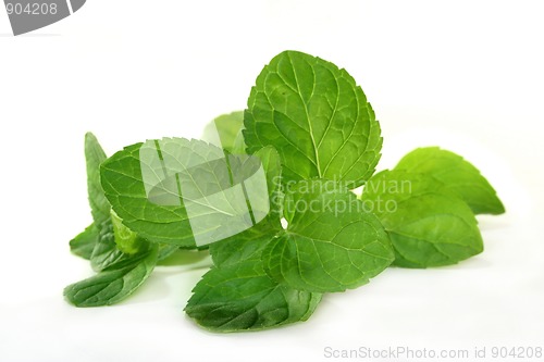 Image of Pepper mint