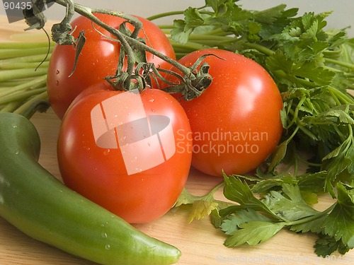 Image of Fresh vegetables III