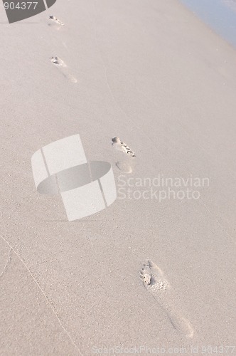 Image of footprints in the sand