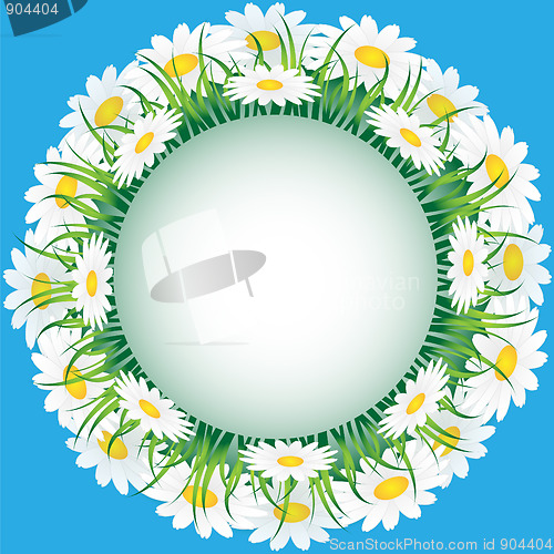 Image of Chamomile and grass