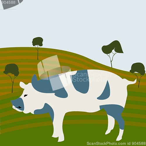Image of Pig