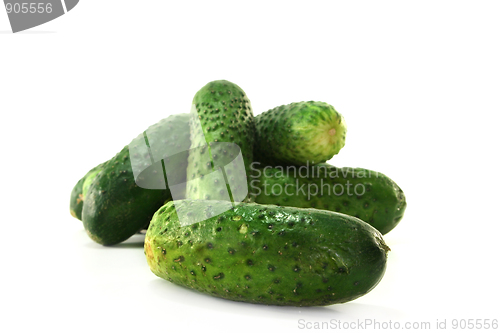 Image of Pickling cucumbers