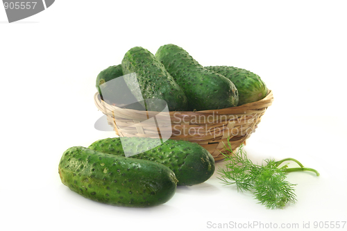 Image of Pickling cucumbers