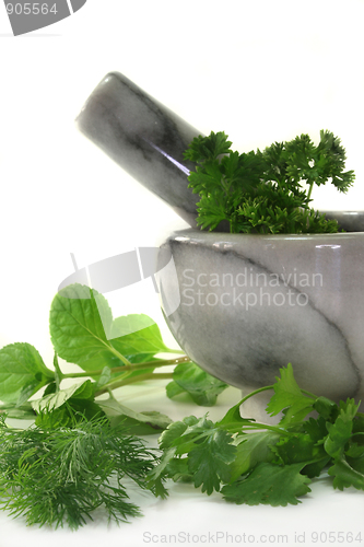 Image of Kitchen herbs