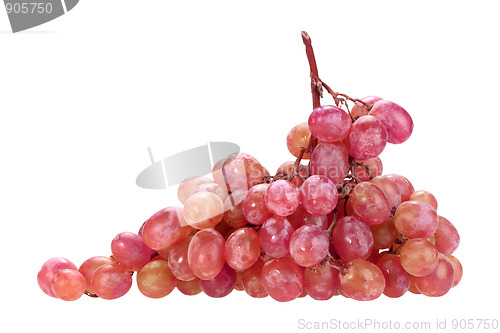 Image of Single bunch of pink grape