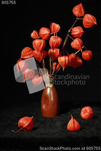 Image of Bouquet with dry orange flowers