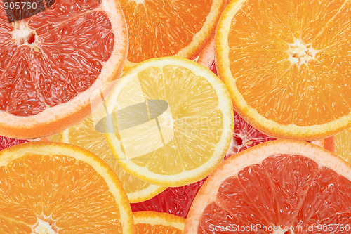 Image of Abstract background of citrus slices