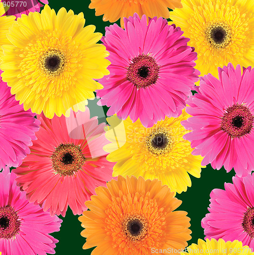 Image of Background of pink, yellow and orange flowers