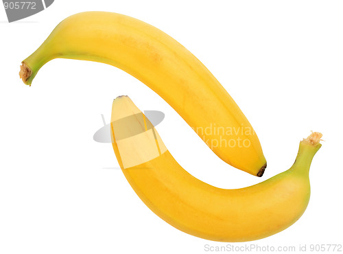Image of Two yellow banana