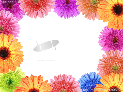 Image of Frame with flowers