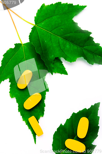 Image of yellow vitamin pills over green leaves