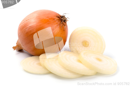 Image of fresh onion