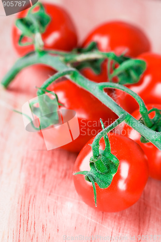 Image of tomatoes bunch