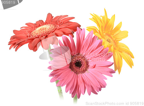 Image of Bouquet of three flowers
