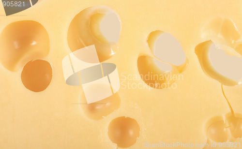 Image of Abstract background of yellow cheese