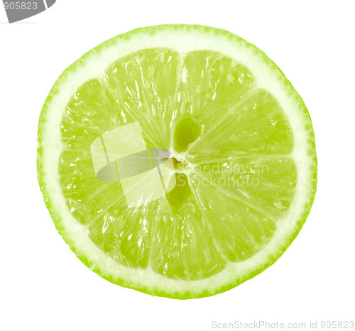 Image of Single cross section of lime