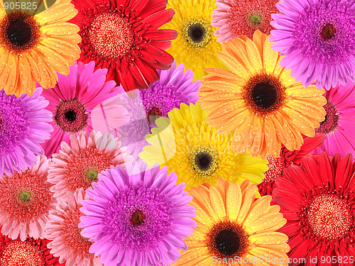 Image of Abstract background of flowers