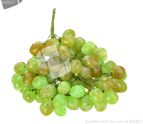 Image of Single bunch of green grape