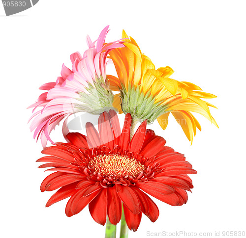 Image of Bouquet of three flowers