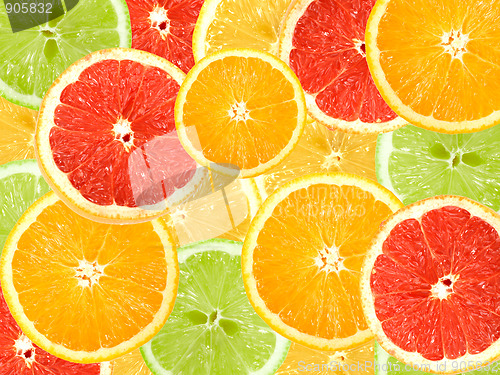 Image of Abstract background of citrus slices