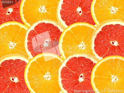 Image of Abstract background of citrus slices