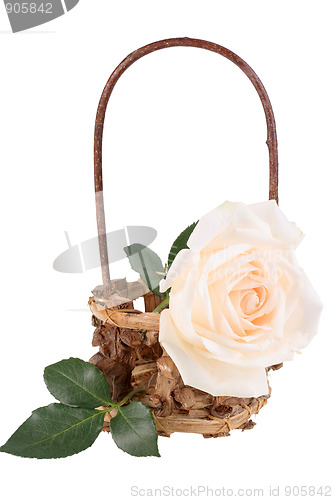 Image of One light-pink rose in basket