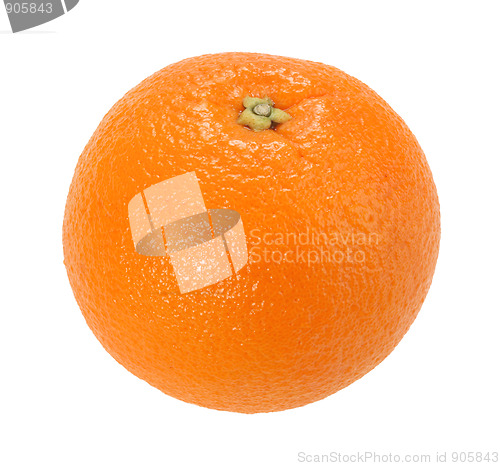 Image of One full orange only