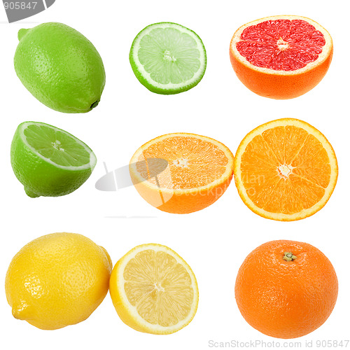 Image of Set of citrus fruits