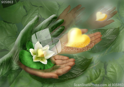 Image of Still-life with hands, leaf and flower as heart