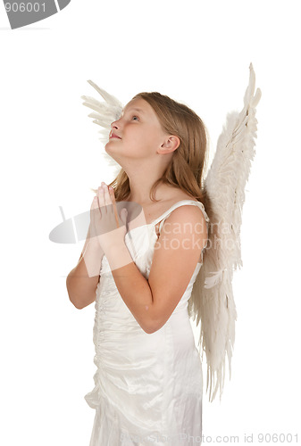 Image of young angel praying on white background