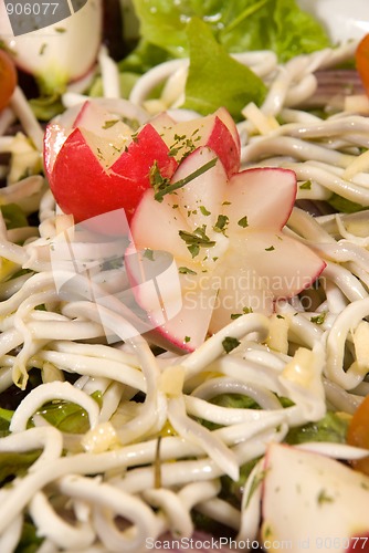 Image of Elver salad