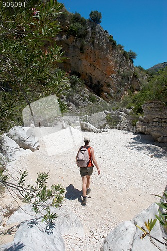 Image of Trekking